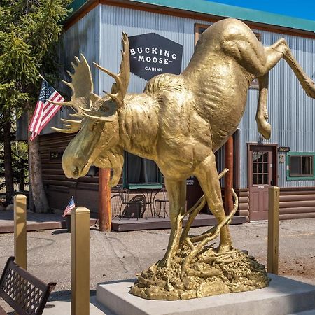 The Bucking Moose Hotel West Yellowstone Ngoại thất bức ảnh